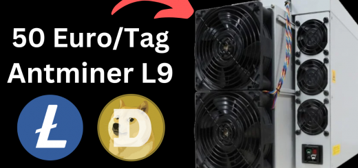 Der Bitmain Antminer L9 ist profitabel