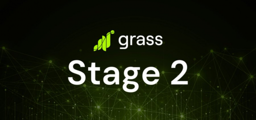 Grass Stage 2, so geht es weiter...