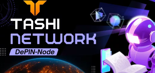 AI & DePIN - Starte mit Tashi Network
